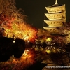 23京都紅葉・東寺ライトアップ