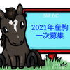 シルクHC 2022年度1歳馬一次募集！私の注目馬7選-栗東版-(2022/08/04)