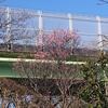 膝の様子見ノル…　50分　3.74km　234kcal　11919歩