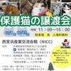 西宮浜｜2024年12月1日（日）15日（日）西宮浜産業交流会館で「保護猫の譲渡会」があります🐈 