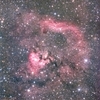 キラキラの星を浴びる