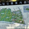 秋を感じる砧公園でジョグ