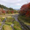 １１．２４の養老公園はこんな感じ