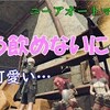 【ニーアオートマタ】神ゲーに出会った　3周目初見ゆっくり実況#55「私が飲むにゃん！」美しい狩人と哀しい復讐者【PS4】