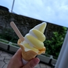 きまぐれドライブ行ってきた～小田原・箱根～