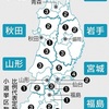 選挙結果が楽しみな歳になりました。