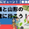 【どこかにビューン！】新潟と山形の県境をまたごう！【NO.10】