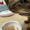 美味しかったね🥰🥰