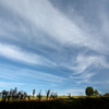 今日の空