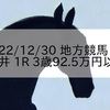 2022/12/30 地方競馬 大井競馬 1R 3歳92.5万円以下
