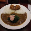 【今日のＣ＆Ｃカレー】ベーコンほうれん草カレー(辛口)　トッピング　唐揚2個　￥500　トッピング券併用　新線新宿店