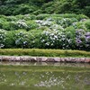 お散歩　②　藤山公園