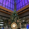 【日本のクリスマスマーケット巡り】おすすめの都市 その20 東京駅周辺丸の内でのクリスマスは見どころ満載♪