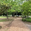 岩名運動公園クロカンコースデビュー