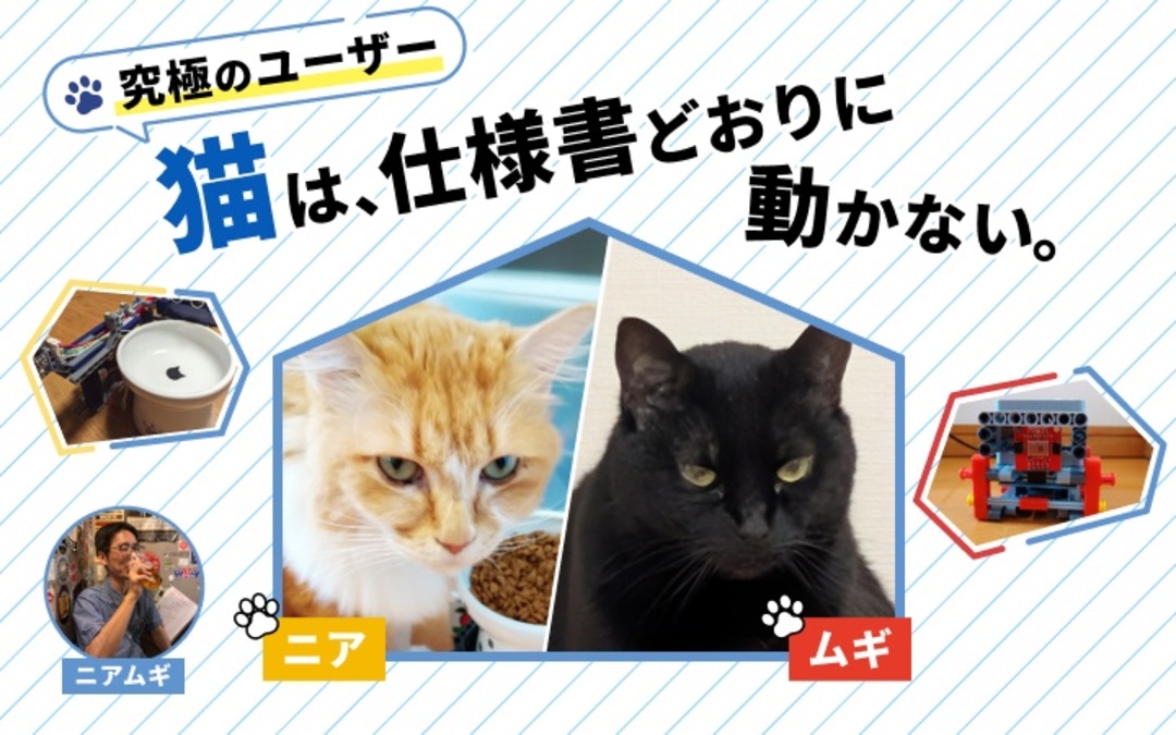 猫をユーザーにして分かった、IoTものづくりの失敗5選｜猫と開発の日々
