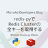 redis-pyでRedis Clusterの全キーを取得する