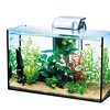 テトラ GA-420Fレビュー：スリム水槽で始める癒やしの空間！初心者でも安心、その魅力を徹底解剖