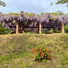 小樽公園