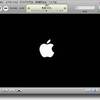 バージョンアップ．．iTunes