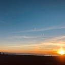 それでもワインが飲みたい