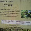 一夜城の石垣山とロウバイ園へ