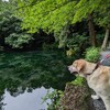 モネの池を探して…この美しき日本のアート