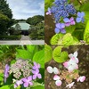 初夏を詠んだ短歌３　　はつなつ　の　かぜ　と　なりぬ　と　みほとけ　は　をゆび　のうれ　に　ほの　しらす　らし　会津八一　　この初夏（しょか）の庭は樹ぶかく暮れにけり水のおとこそ聞かまく欲しき　中村憲吉　　初夏の風ビルの谷間をふきぬけてとまれる車いろどりをもつ　中野菊夫　　初夏の一日一日は危ふきに吹く風あそぶ天の夕雲　清原令子　　木に熟れし桃捥（も）ぐひとのむきだしの腕にこぼるる首夏のひかりは　久々湊盈子　　ブラウスの中まで明るき初夏の陽にけぶれるごときわが乳房あり　河野裕子