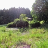 荒れ果てた久原農村公園