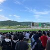 競馬を楽しむ習慣