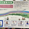 江戸川橋公園お散歩トレーニング。