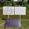 万葉歌碑を訪ねて（その１１７５）―奈良市春日野町　春日大社神苑萬葉植物園（１３５）―万葉集　巻十六　三八三七