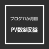 【ブログ運営報告11カ月目】PV数と収益を公開