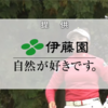 テレビ朝日系 伊藤園レディスゴルフ2023 第2日 2023/11/11