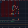 2020年12月28日 リップル提訴XRP大暴落ショートが決まっておりました