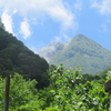 妙高高原の初夏　その１
