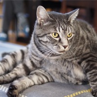 何もない日曜日（DG SUMMILUX続き）