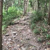 藺牟田池の外輪山　～後編～