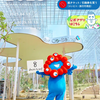相変わらず