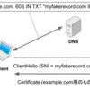 Fake SNIという提案仕様について