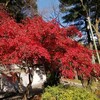 養老公園へ紅葉を見に行った（ただし滝は見なかった