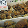 マシュルームノート　菌類の香り　mushroom