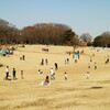 公園