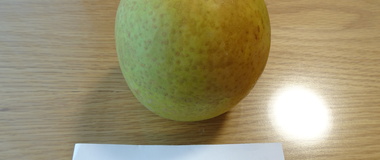 梨とビャクシン