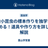 微小昆虫の標本作りを独学で始める！道具や作り方を詳しく解説