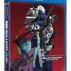 いっさい留保なく悪を肯定する物語は存在すると思うが、『機動戦士ガンダム0083』や『ONE PIECE』がそれにあたるとは思えない
