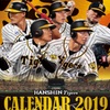 【プロ野球 No.1】阪神について書いてみた