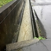 雨が水路をキレイにしてくれる