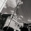 写真の哲学