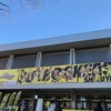 スポーツ観戦　～Bリーグ　２０２１年初　サンロッカーズ渋谷　青山学院記念館～