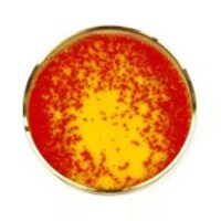 おもしろ動画のアンテナ